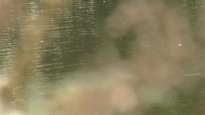 Шолохов М.А. песня из кинофильма Тихий Дон 2015г. Народный самодеятельный коллектив  "Сударушка"