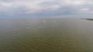 Весна Крым Дикая природа