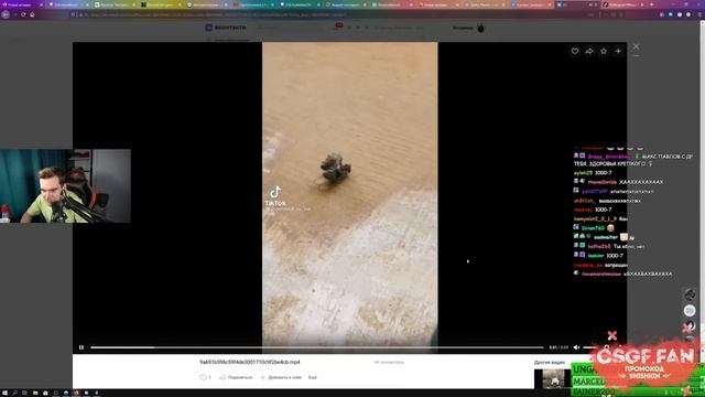 БРАТИШКИН СМОТРИТ ВЕБМЫ ВК | 23-Я ЧАСТЬ смотреть онлайн