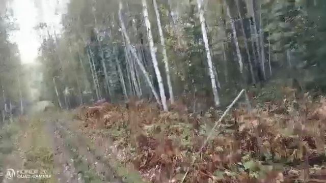 Опкашево и каракат! смотреть онлайн