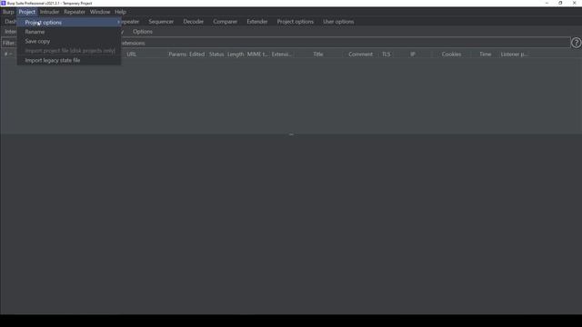 Burp Suite Pro Tips & Tricks: User & Project Options смотреть онлайн