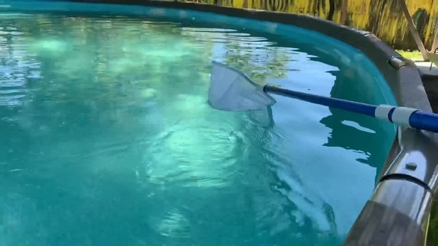 ? ОЧИЩАЮЩИЙ НАСОС ? чистый бассейн с Тони и Аллой Жизнь Прекрасна ФЛОРИДА США 01.05.2020 смотреть онлайн