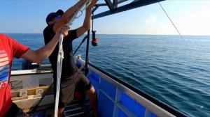 РАПАНА: Ловля рапаны драгой. Драгирование рапана в Черном море.