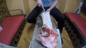 Что такое камус, как его снимать и расколачивать