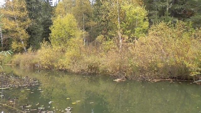 Поход с ночевкой В царство лося и медведя! Охота на утку и рябчика. готовим утку на костре! смотреть онлайн