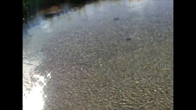 В истоках р. Лимбекою, рядом с пер. № 82 (Балбан, Валдик) смотреть онлайн