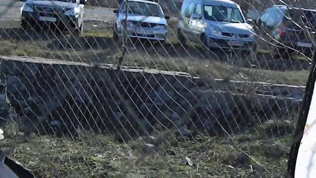 Выставка голубей и декоративных птиц в Новомосковске 23,11,19г смотреть онлайн