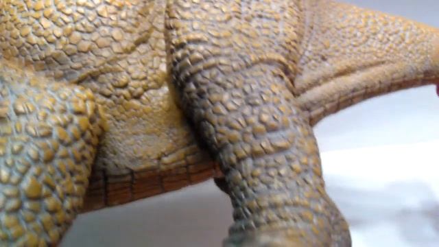 Collecta 1/15th Scale HUGE Triceratops Review!!! смотреть онлайн
