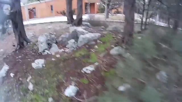 Крым 2017.Яхт клуб в Алуште. Самая большая кошка в мире, в Крыму. смотреть онлайн