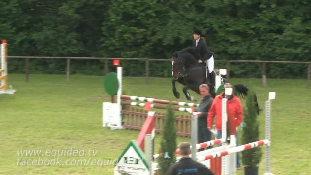 Jettingen 2015 Prf10 52 Mira Schuler Jorden Gold смотреть онлайн