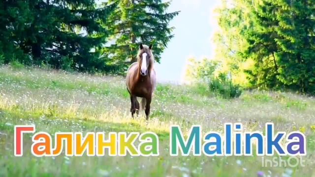 Вредина Лайф /Вредина, сколько можно, это уже зашквар/Обзор Влогов /Vredina Life /