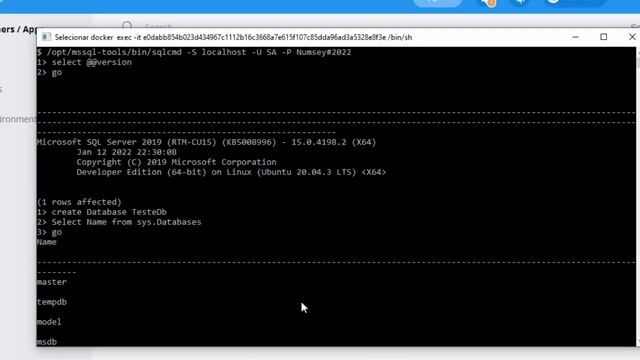 Docker - ASP .NET Core, EF Core com SQL Server смотреть онлайн
