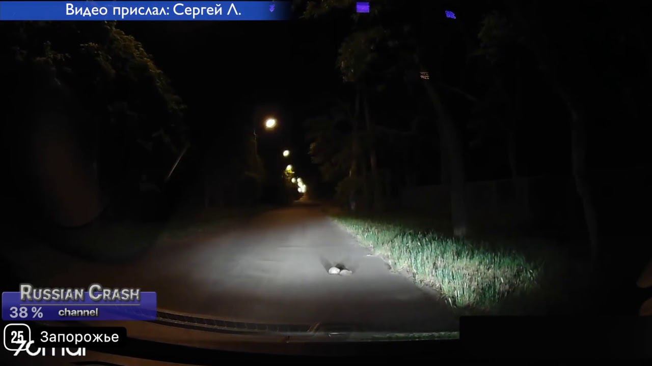 ежиковая_любовь смотреть онлайн