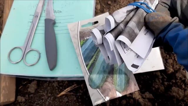  Посев сухих семян кабачков в открытый грунт