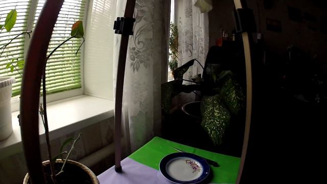 лимон домашний срезаю что внутри оказалось? смотреть онлайн