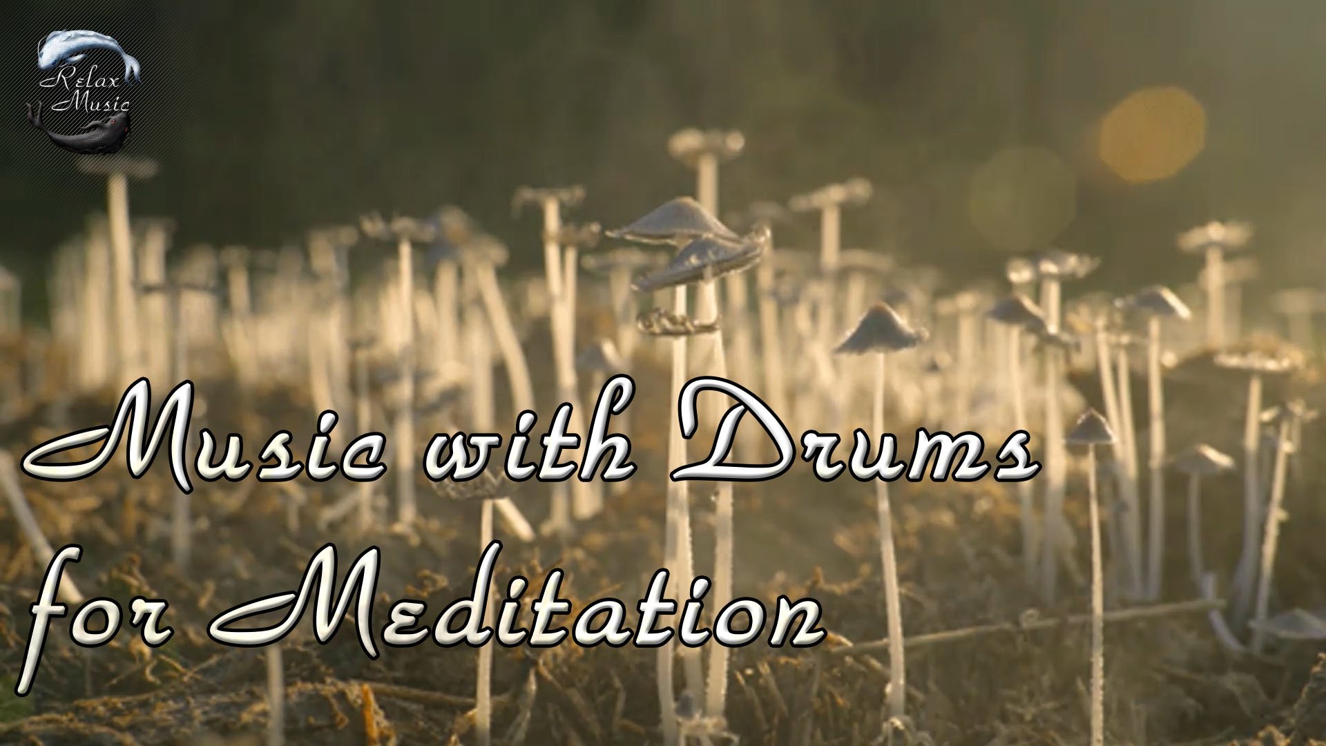 Шаманские барабаны для медитации и снятия стресса смотреть онлайн