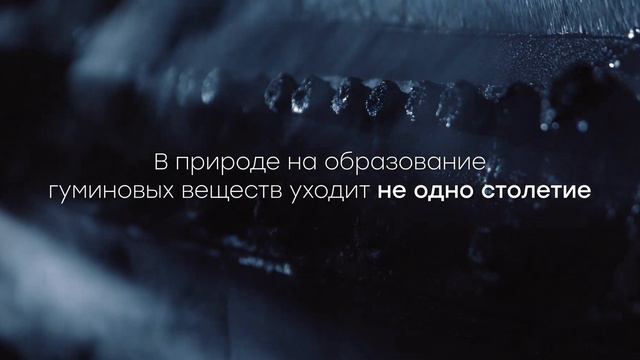 Lignogumat смотреть онлайн