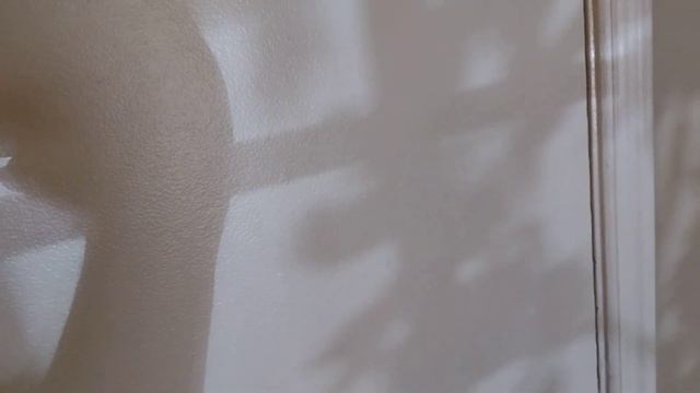 8263 N Oracle #137 смотреть онлайн