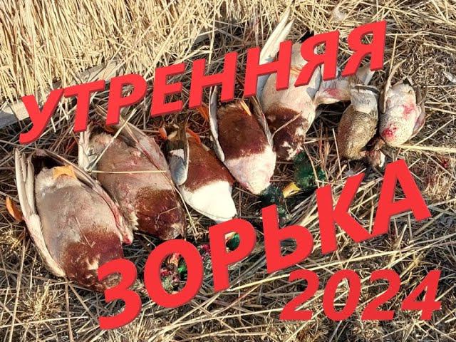 УТРЕННЯЯ ЗОРЬКА С ШИКАРНЫМИ НАЛЕТАМИ 2024 смотреть онлайн