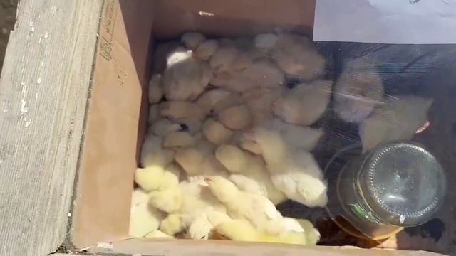 г.Атырау Старый базар. 24.04.21г. смотреть онлайн