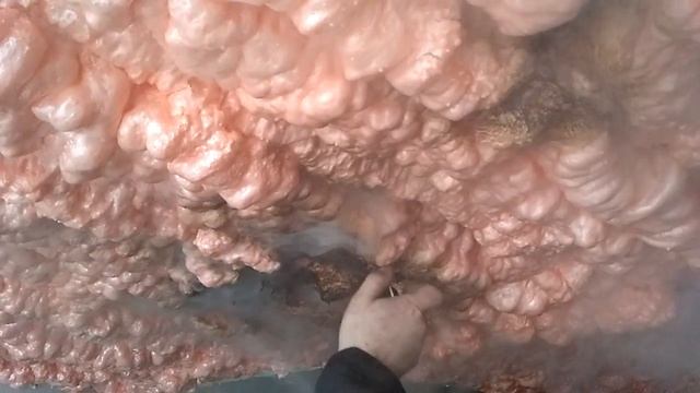 POLYNOR ГОРИТ или НЕТ ? смотреть онлайн