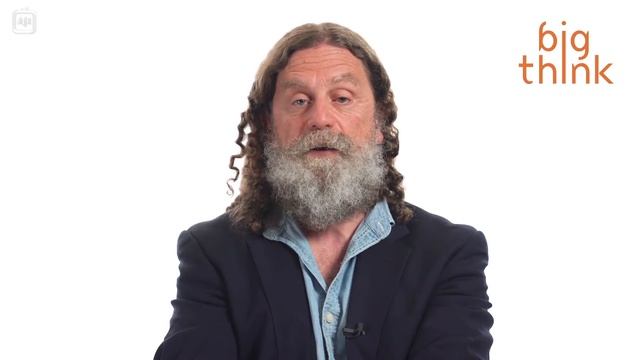 Роберт Сапольски: Почему у нас нет свободы воли [Big Think] смотреть онлайн