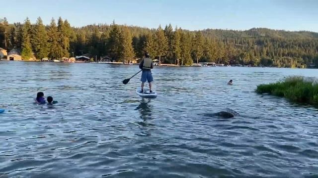 Hyrdo-Force BESTWAY 10ft White Cap Inflatable Paddle Board Set Review 2021 | Hydro Force SUP смотреть онлайн