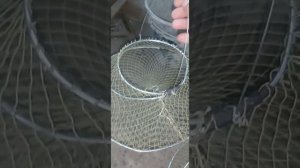 Раколовки-чернильницы своими руками...