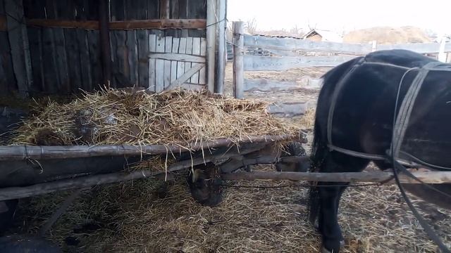 #Конская телега - ''самосвал