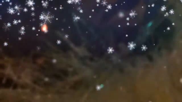 🎄🎄🎄Transformation of a Christmas tree / Happy Year❤️💥🎄✨ смотреть онлайн