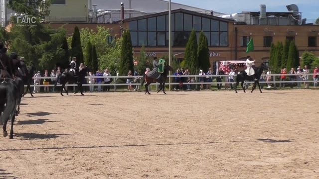 Кабардинская Порода Лошадей ? ყაბარდოული ჯიშის ცხენები смотреть онлайн