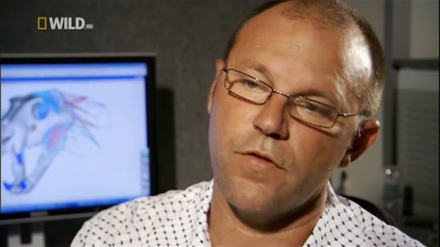 Доисторические хищники.Саблезубый тигр.Смилодон смотреть онлайн