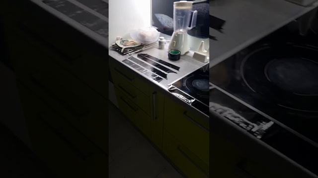 Отучаем котёнка Асти лазить по столам и копать цветы. Часть 1я. Начало. смотреть онлайн