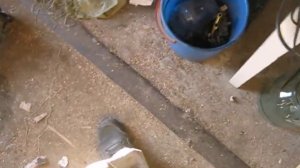 Ремонт стартера Mitsubishi Pajero (Мицубиси Паджеро)