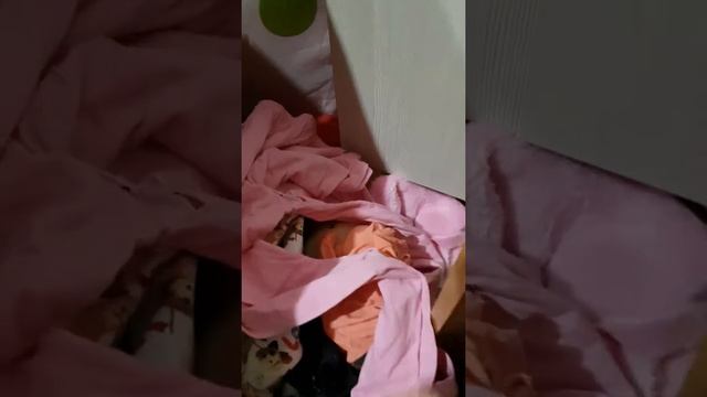 Уборка ? вот где собака зарыта смотреть онлайн