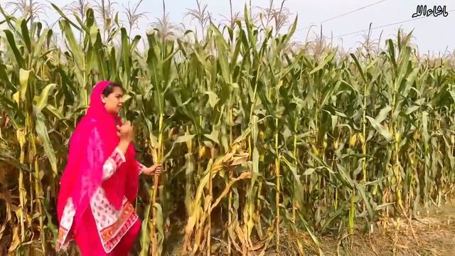 Dhoop Garmi ki yeh Mehnat Rang ly ai | Aliza Sehar Vlogs | Village Punjab Pakistan смотреть онлайн