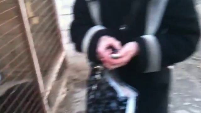 Собака умирает. смотреть онлайн
