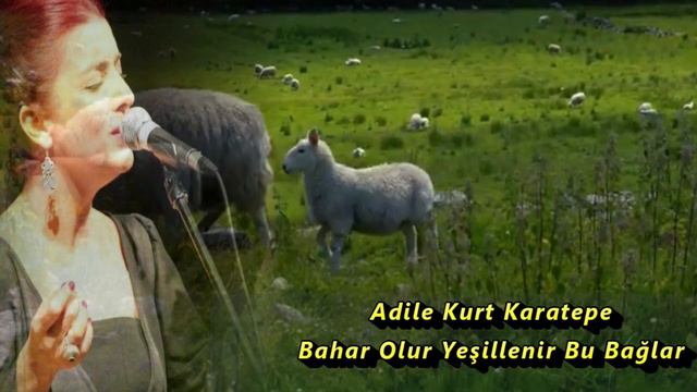Adile Kurt Karatepe || Bahar Olur Yeşillenir Bu Bağlar || смотреть онлайн