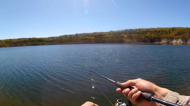 СИГ? ПЕЛЯДЬ? Откуда ОНИ взялись в этом озере?!! Да ещё и на СИЛИКОН клюют! смотреть онлайн