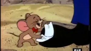 новые приключения том и джери