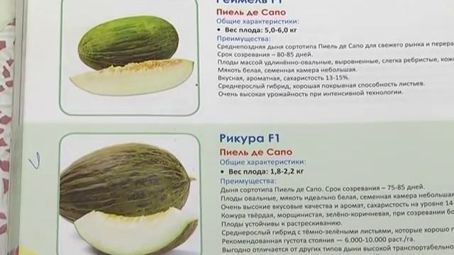 Лучшие сорта. Дачные советы с Галиной Старосельцевой. Декабрь 06-2018 смотреть онлайн