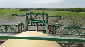 Карбамид+гумат. Листовая подкормка подсолнечника.