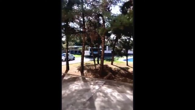 Екатерина Пирожкова Сторис Instagram @ekaterinapirozhkova rg 04 07 2020 смотреть онлайн