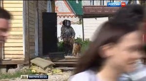 Новости! Цыгане из Плеханова к сносу отнеслись спокойно!