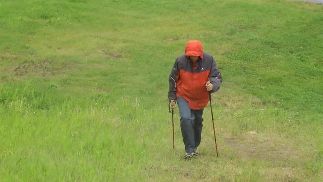 Скандинавская Ходьба по Санкт-Петербургу и пригородам смотреть онлайн