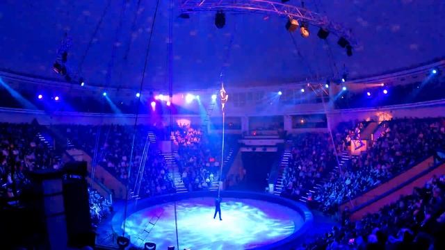 БелГосЦирк «Магия бабочки». Minsk circus/новогодняя сказка смотреть онлайн