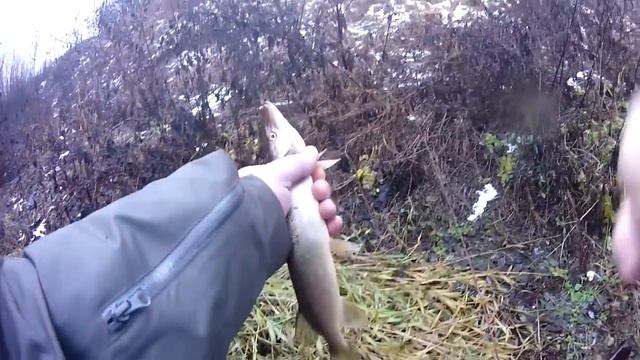 Family fishing выпуск 18 Ловля на мормышку смотреть онлайн