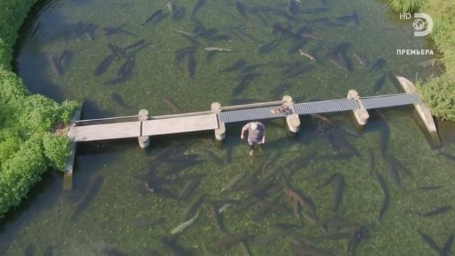Джереми Уэйд: Тёмные воды. Монстр озера Гарда