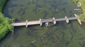 Джереми Уэйд: Тёмные воды. Монстр озера Гарда