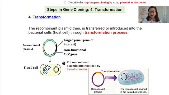 8 2 Methods in Gene Cloning смотреть онлайн